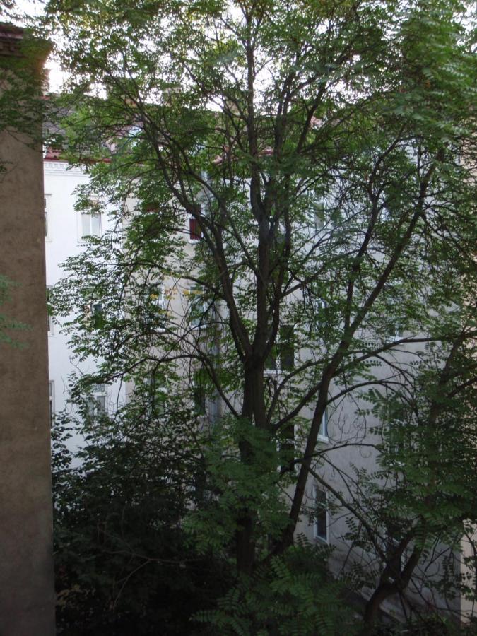 Augartenblick Penthaus 17 - Blick Zum Riesenrad Wien Ngoại thất bức ảnh